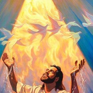 Meet your Posher, Marlene